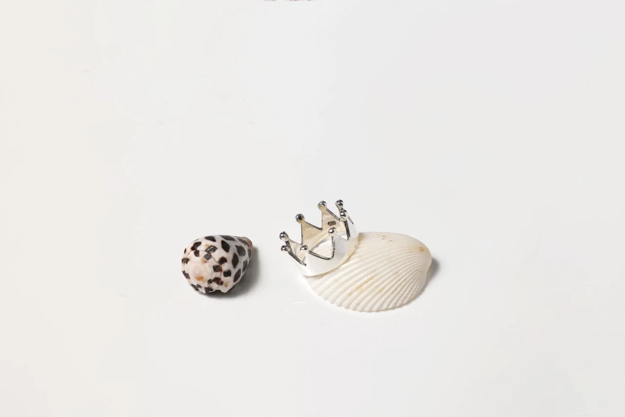 Royal Crown Ring In Silver
