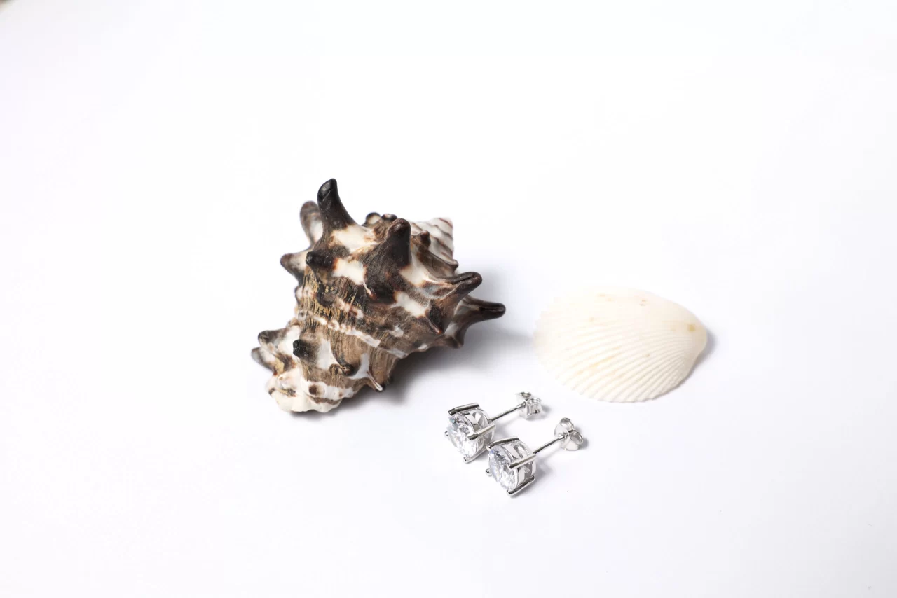 crystal stud earrings in silver for her