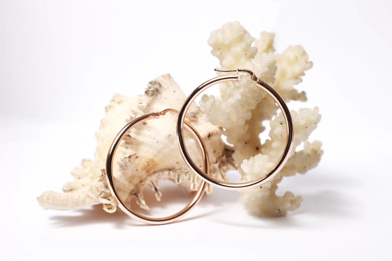 Melanie earrings in silver for her