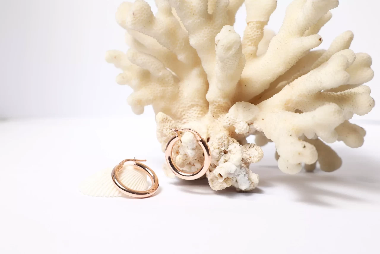 Classic Earrings in silver for her