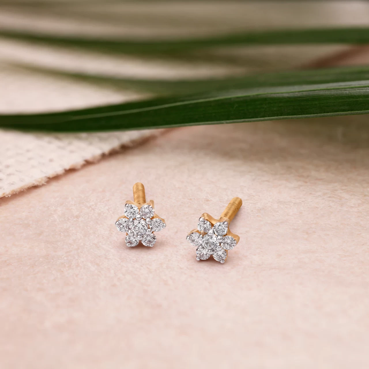 Alluring Stud Earrings